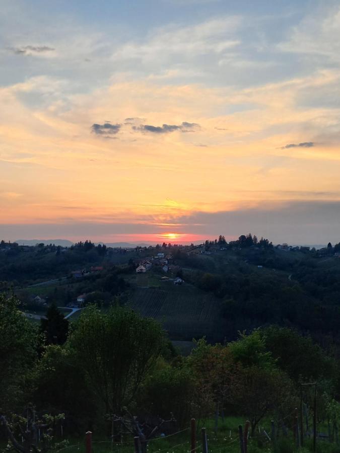 New Vineyards Apartment Varazdin Breg Esterno foto